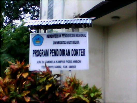 doctor program